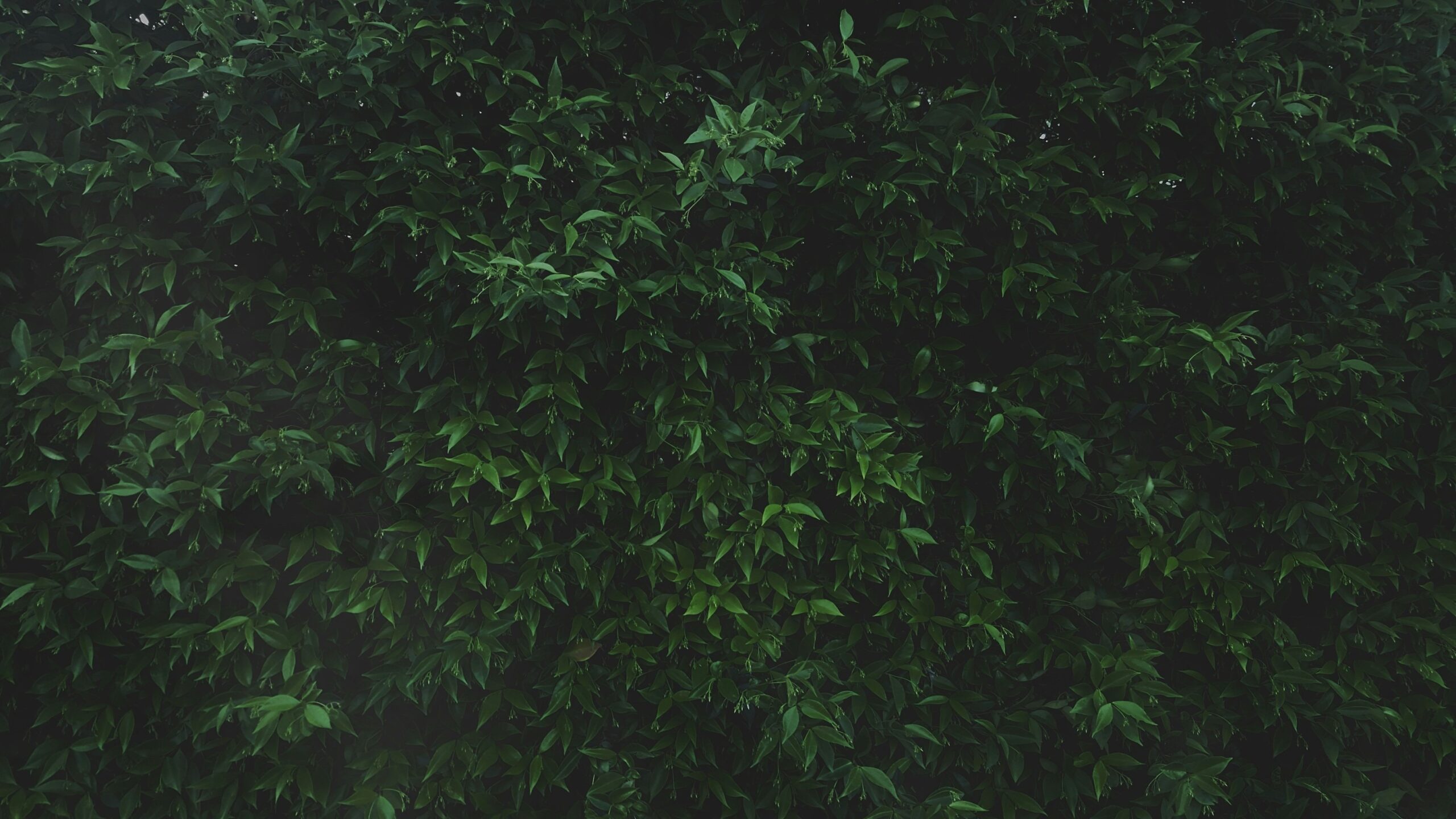 Hello World Featured Image